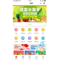 （包更新）禾匠商城一条龙搭建/独立系统，分销系统，多种营销，拼团，秒杀，砍价