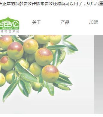 织梦dedecms红枣核桃干果食品公司网站模板