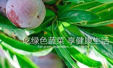 织梦dedecms响应式生态水果蔬菜商城网站模板(自适应手机移动端)